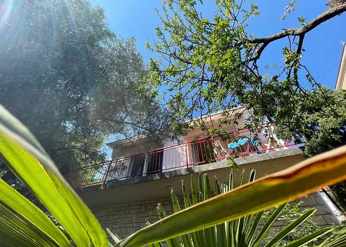 House Fras With Two Apartments